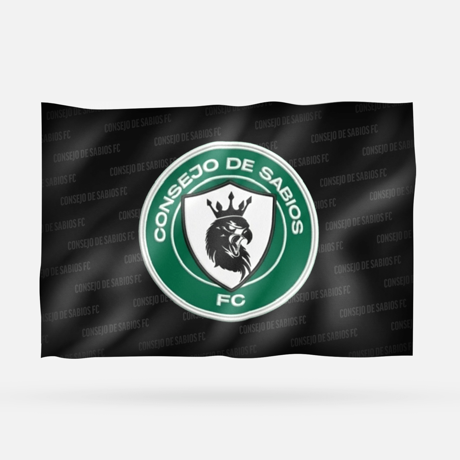CONSEJO DE SABIOS FC - Imagen 8
