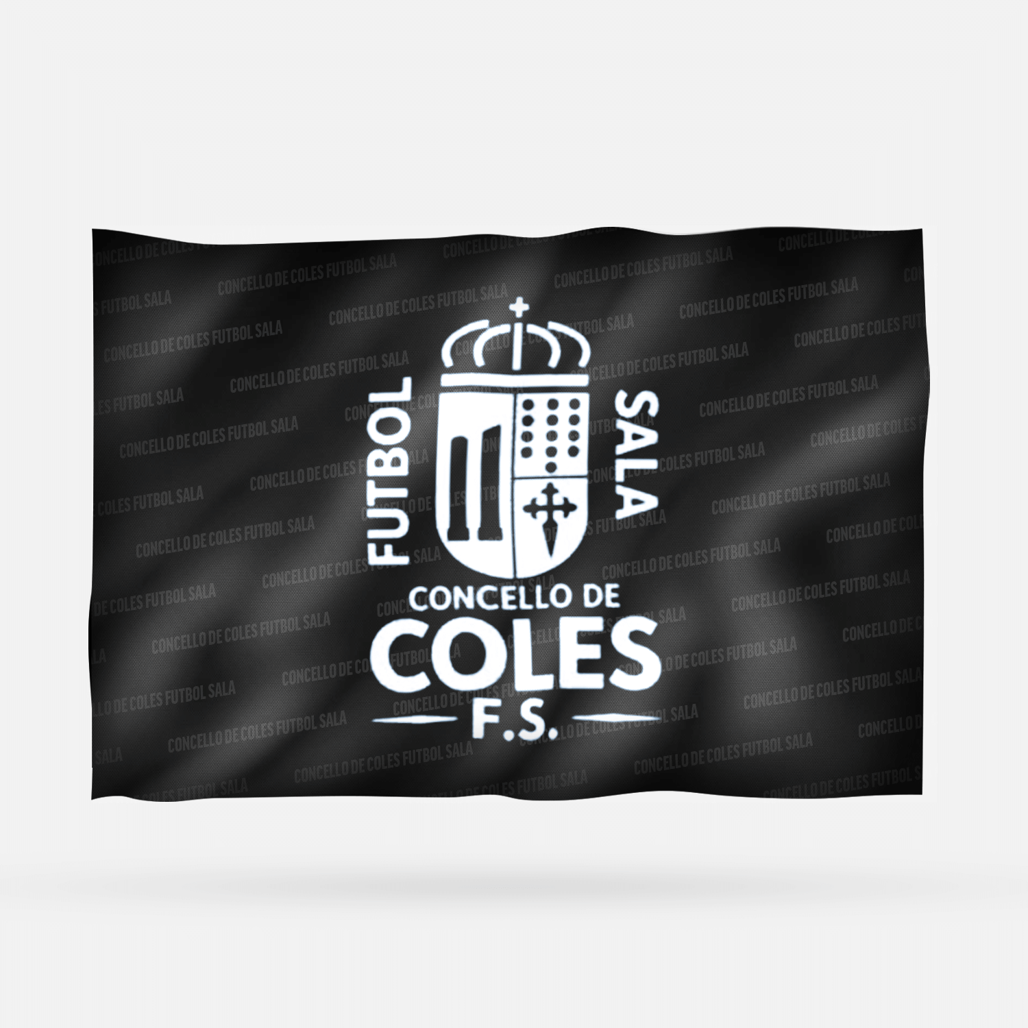 CONCELLO DE COLES FUTBOL SALA - Imagen 6