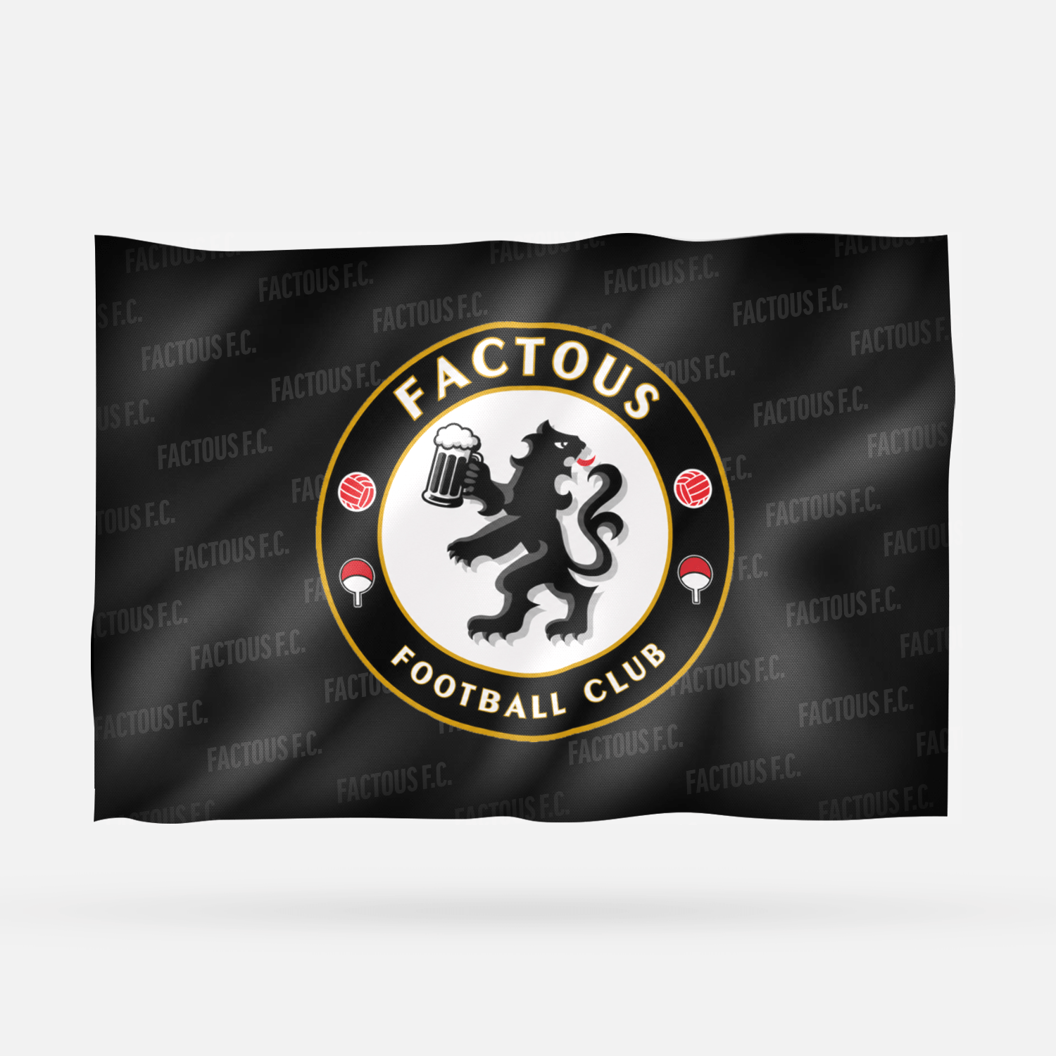 FACTOUS F.C. - Imagen 8