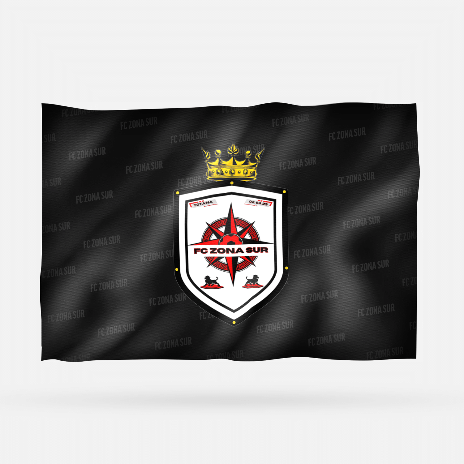 FC ZONA SUR 2026 - Imagen 11