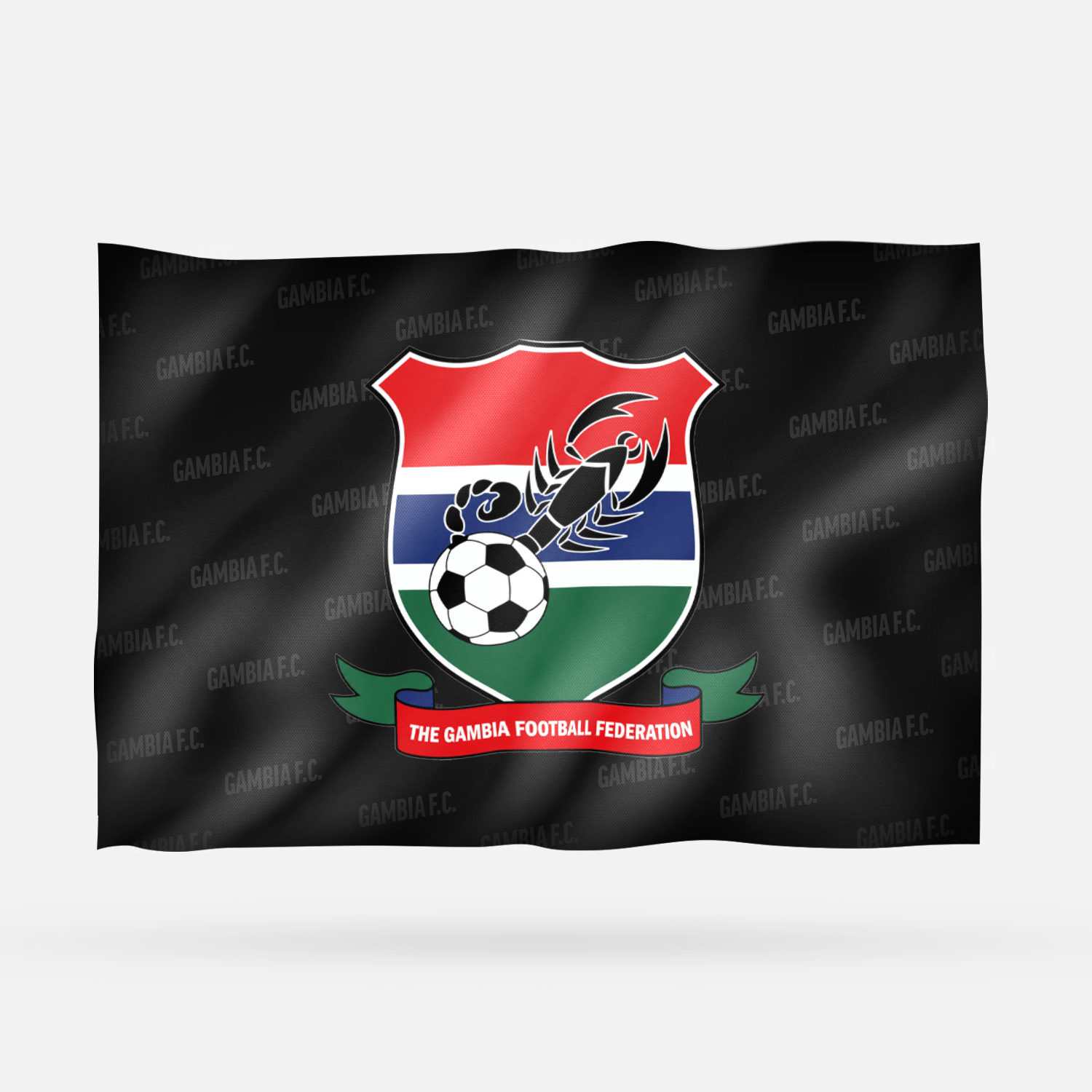 GAMBIA F.C. - Imagen 6