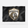 GORILAS FC 2026 - Imagen 6