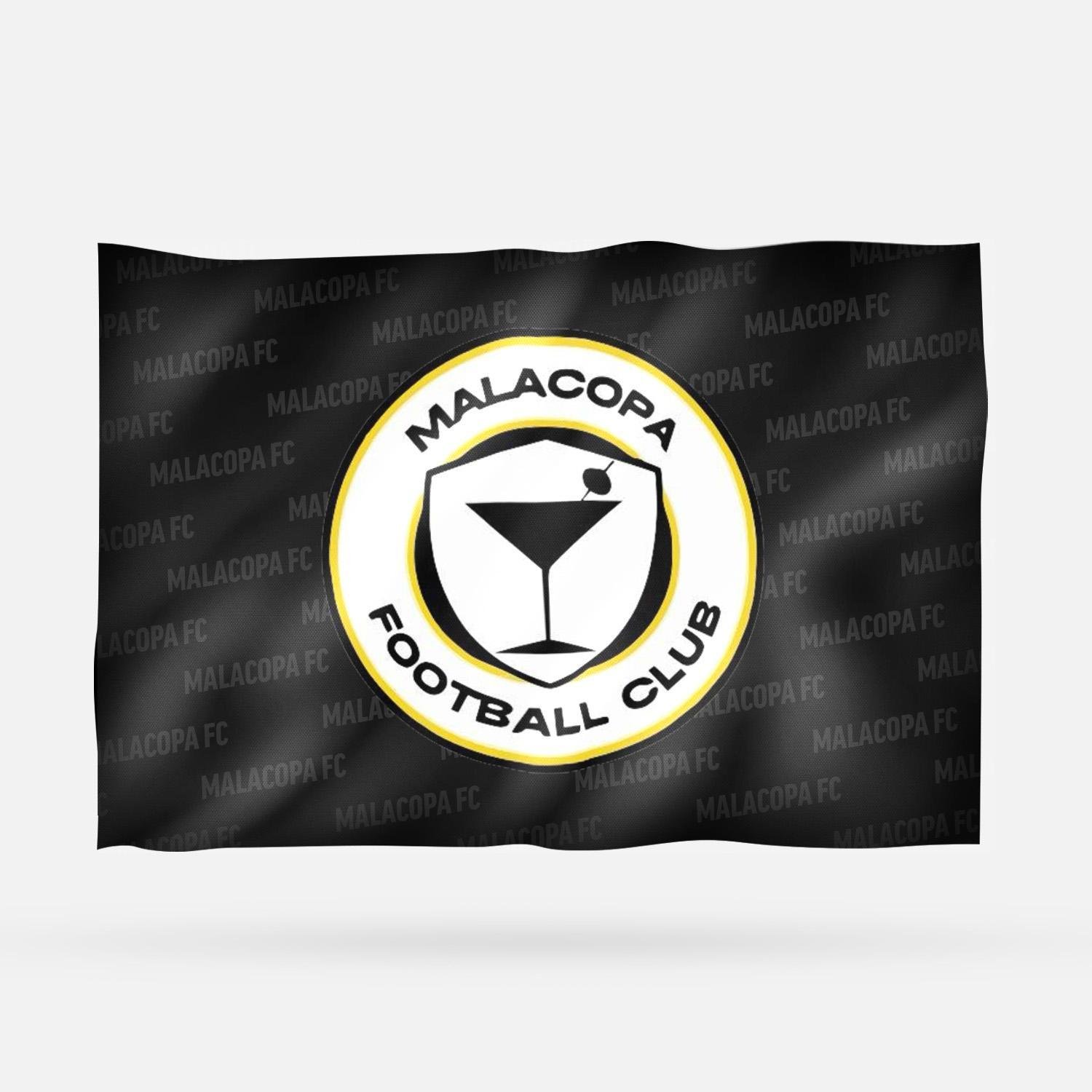 MALACOPA FC 2026 - Imagen 16