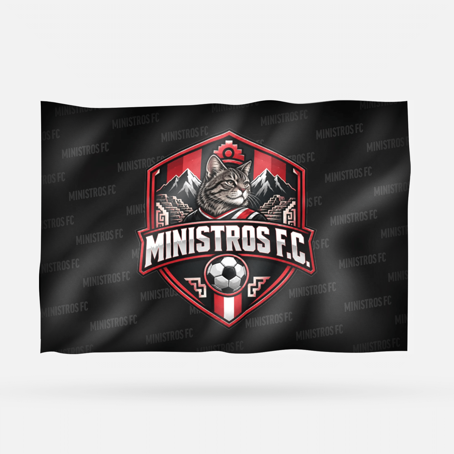 MINISTROS FC LIVE - Imagen 8