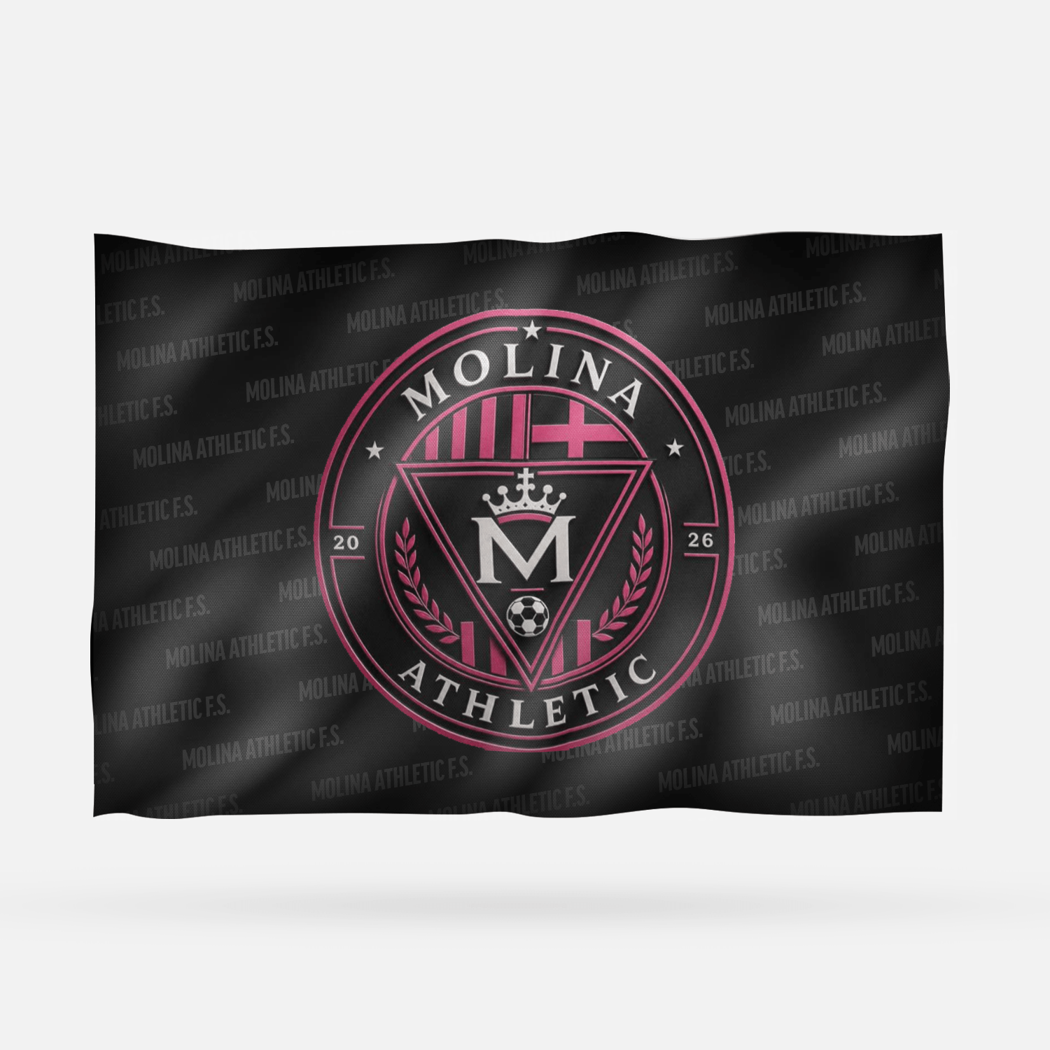 MOLINA ATHLETIC F.S. ROSA - Imagen 8