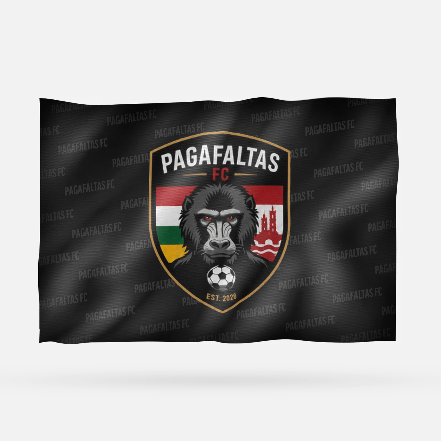 PAGAFALTAS FC - Imagen 6