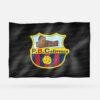PENYA BARCELONISTA COLIVENCA - Imagen 6