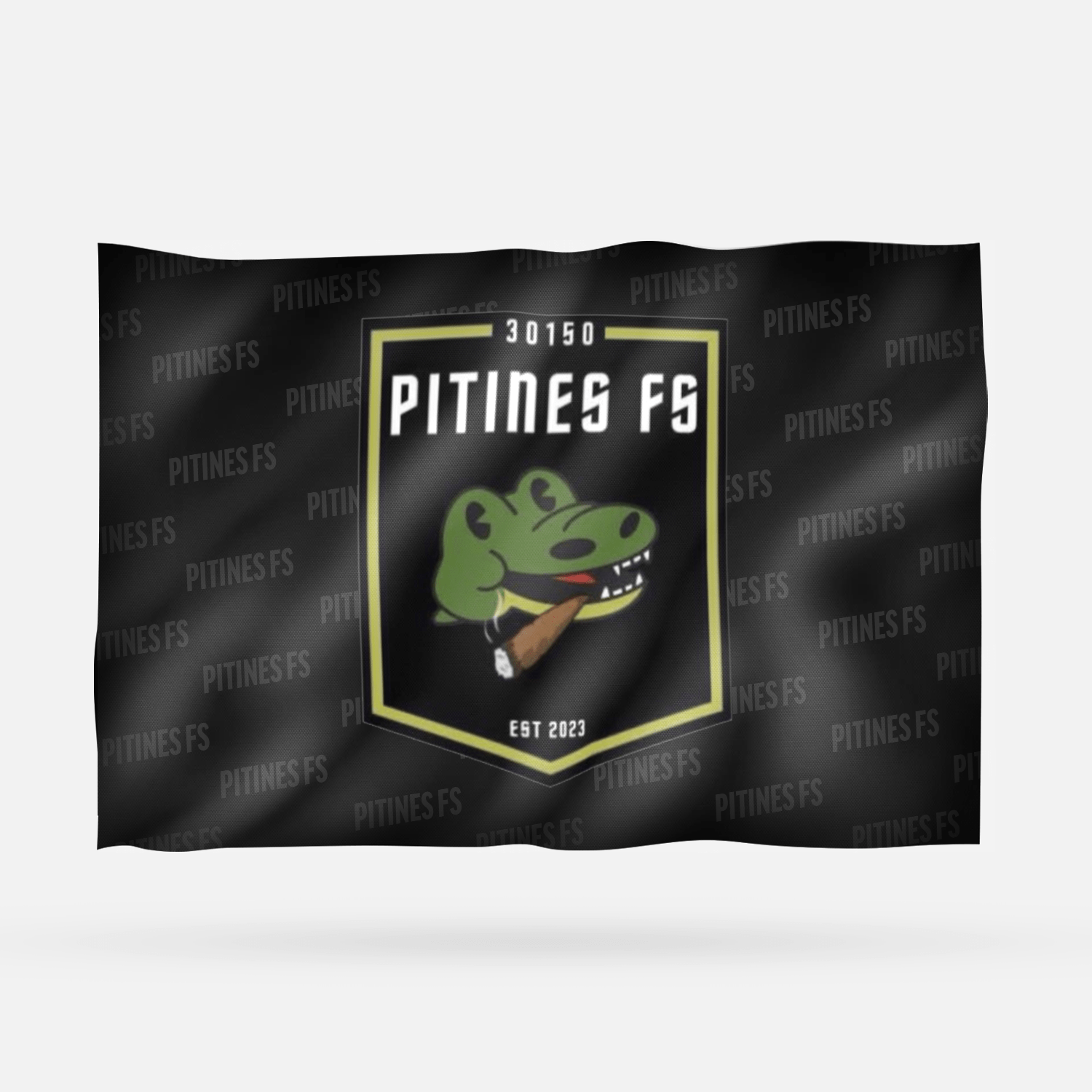 PITINES FS - Imagen 6