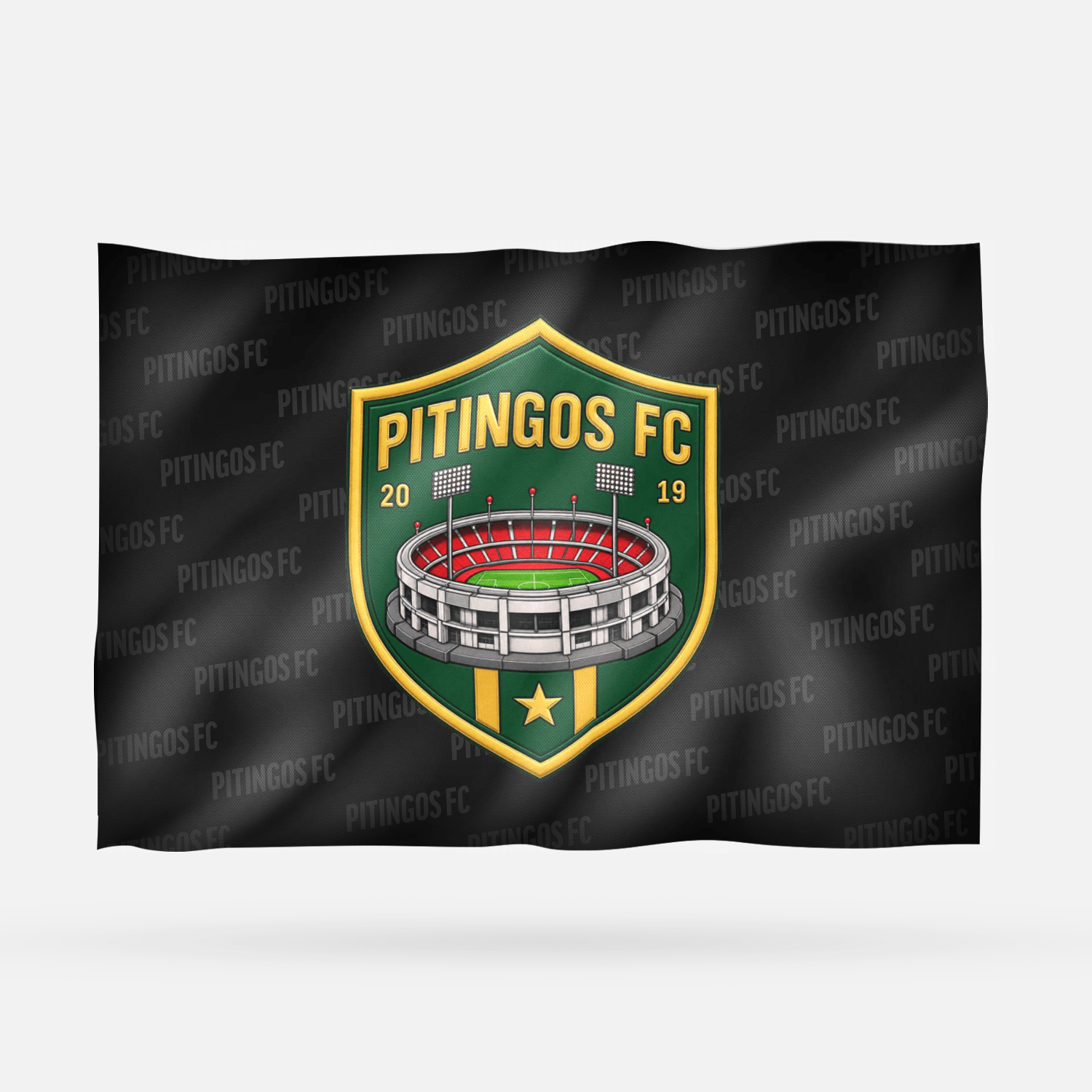 PITINGOS FC - Imagen 6