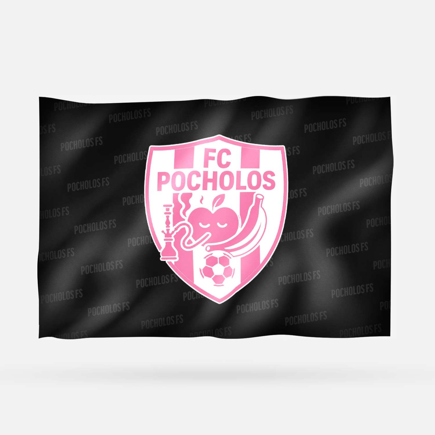 POCHOLOS FS - Imagen 10