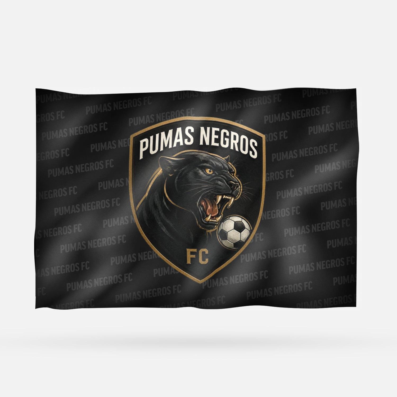 PUMAS NEGROS FC II - Imagen 7