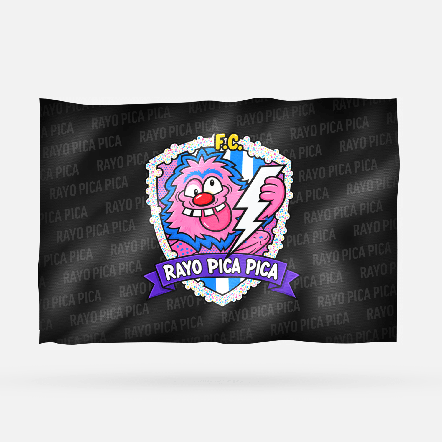 RAYO PICA PICA 2026 - Imagen 8