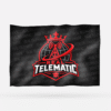 REAL TELEMATIC - Imagen 8