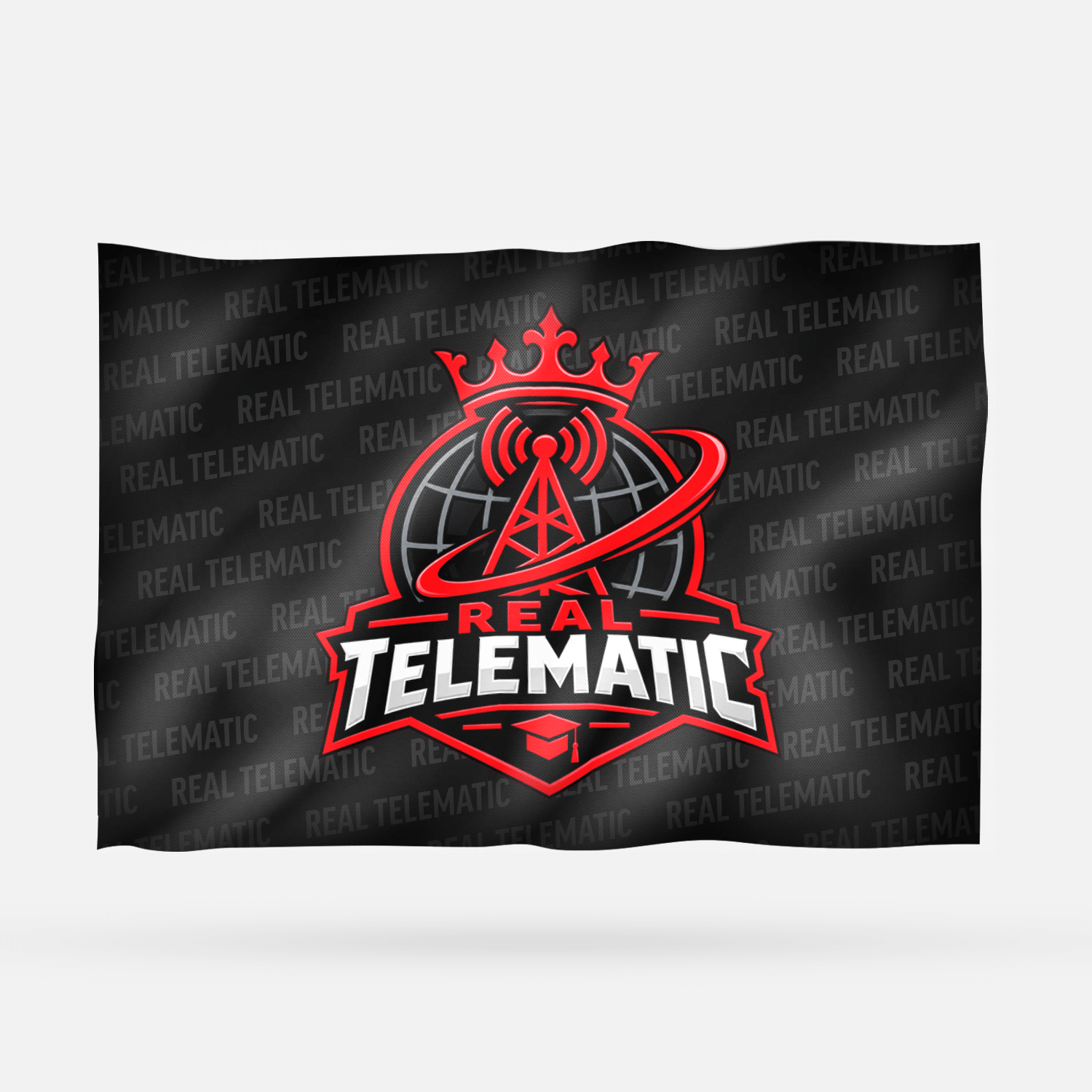 REAL TELEMATIC - Imagen 8