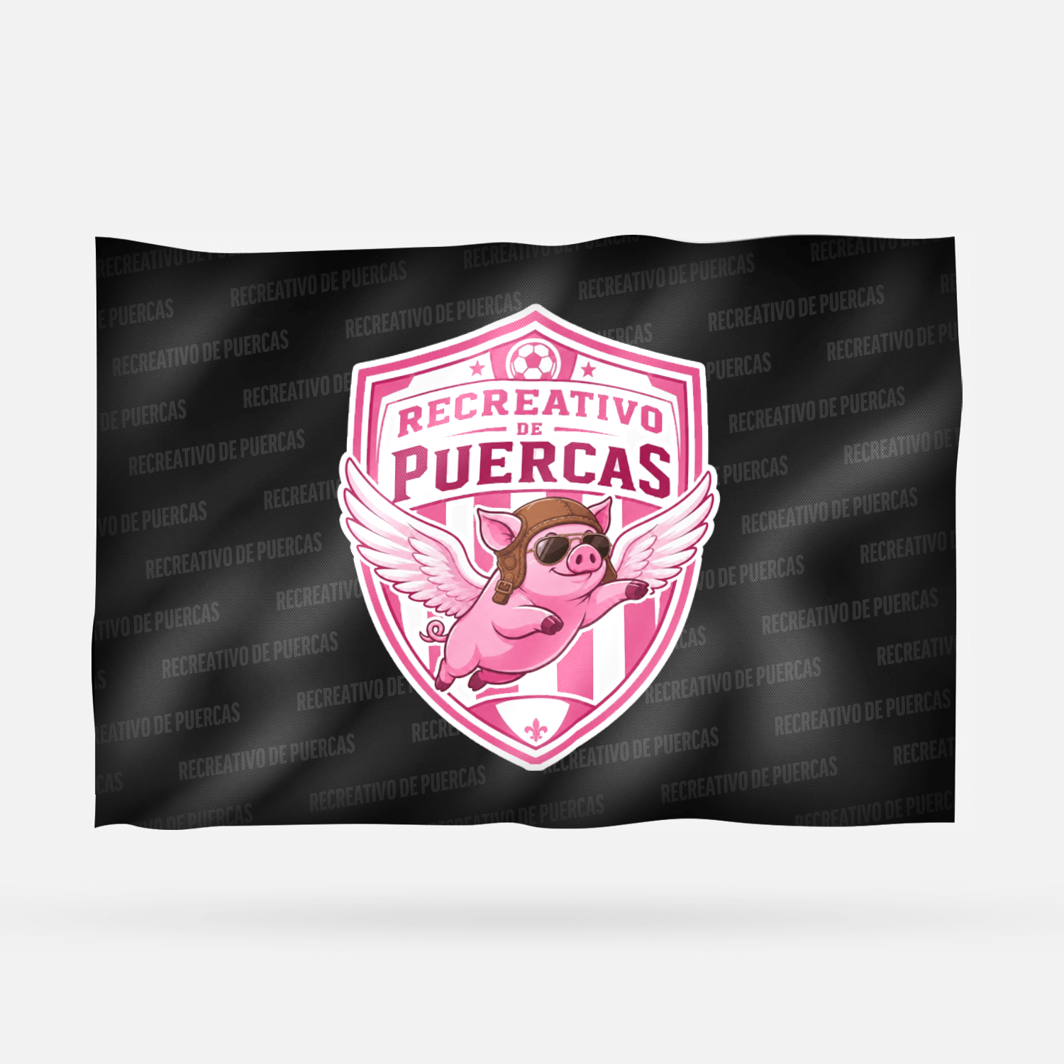 RECREATIVO DE PUERCAS - Imagen 8