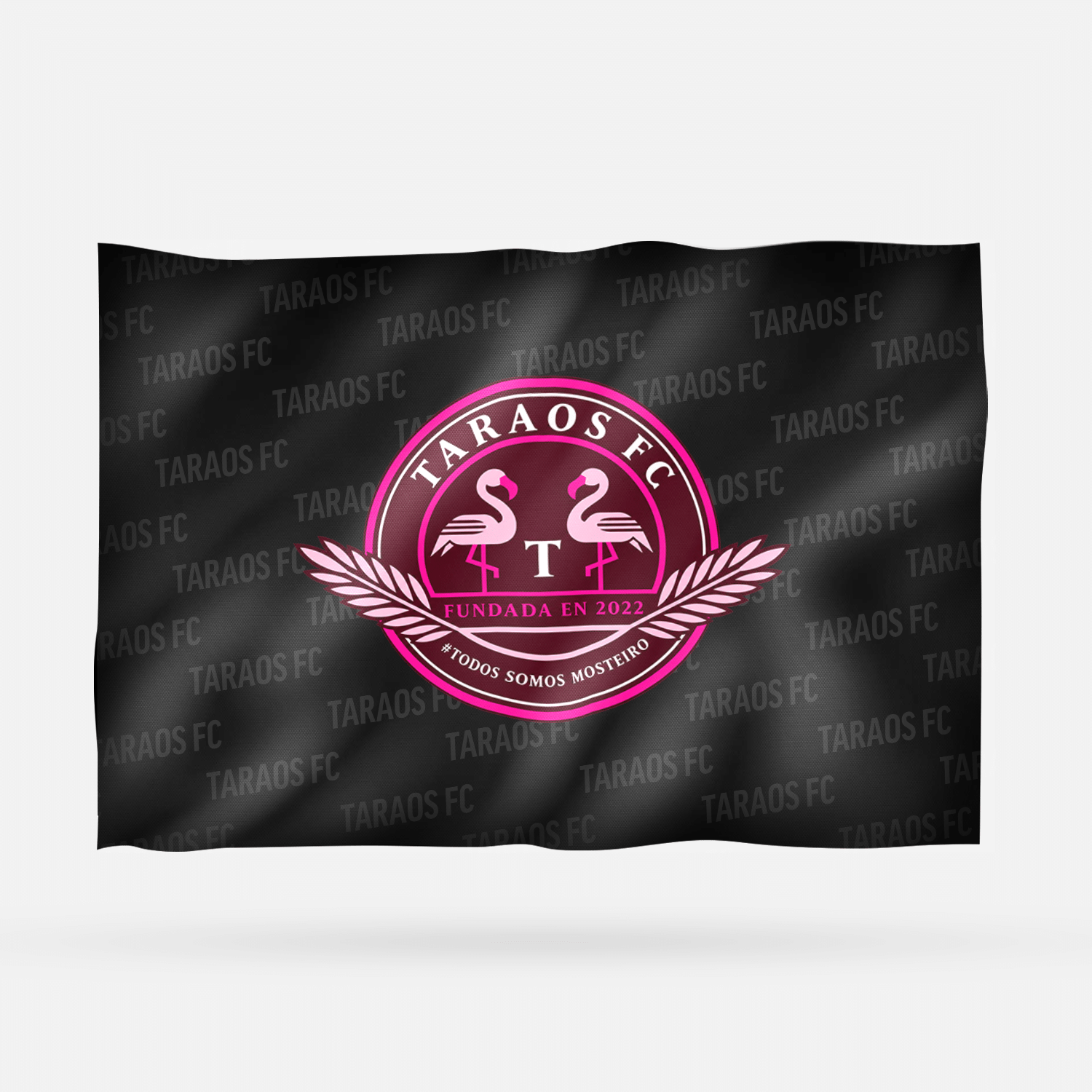 TARAOS FC - Imagen 6