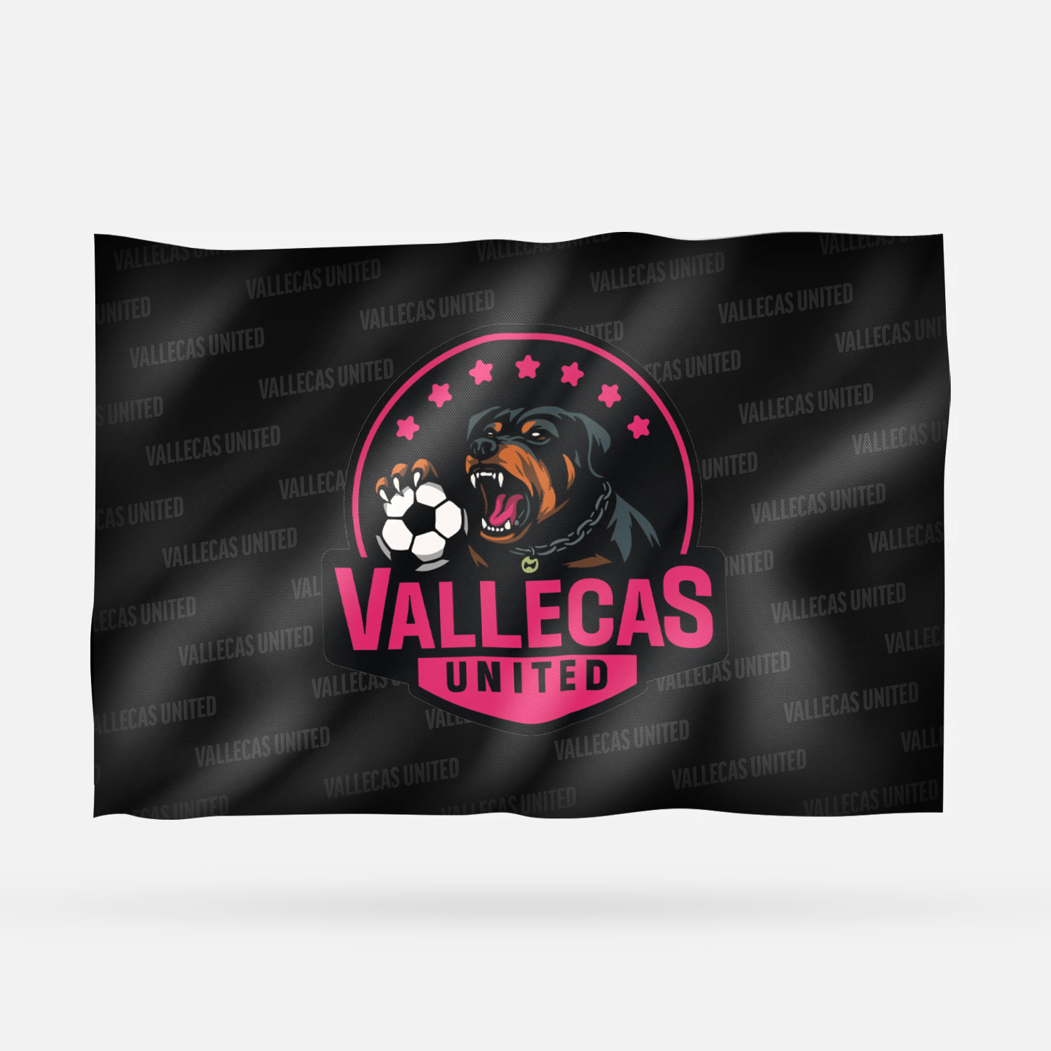 VALLECAS UNITED 2026 - Imagen 8