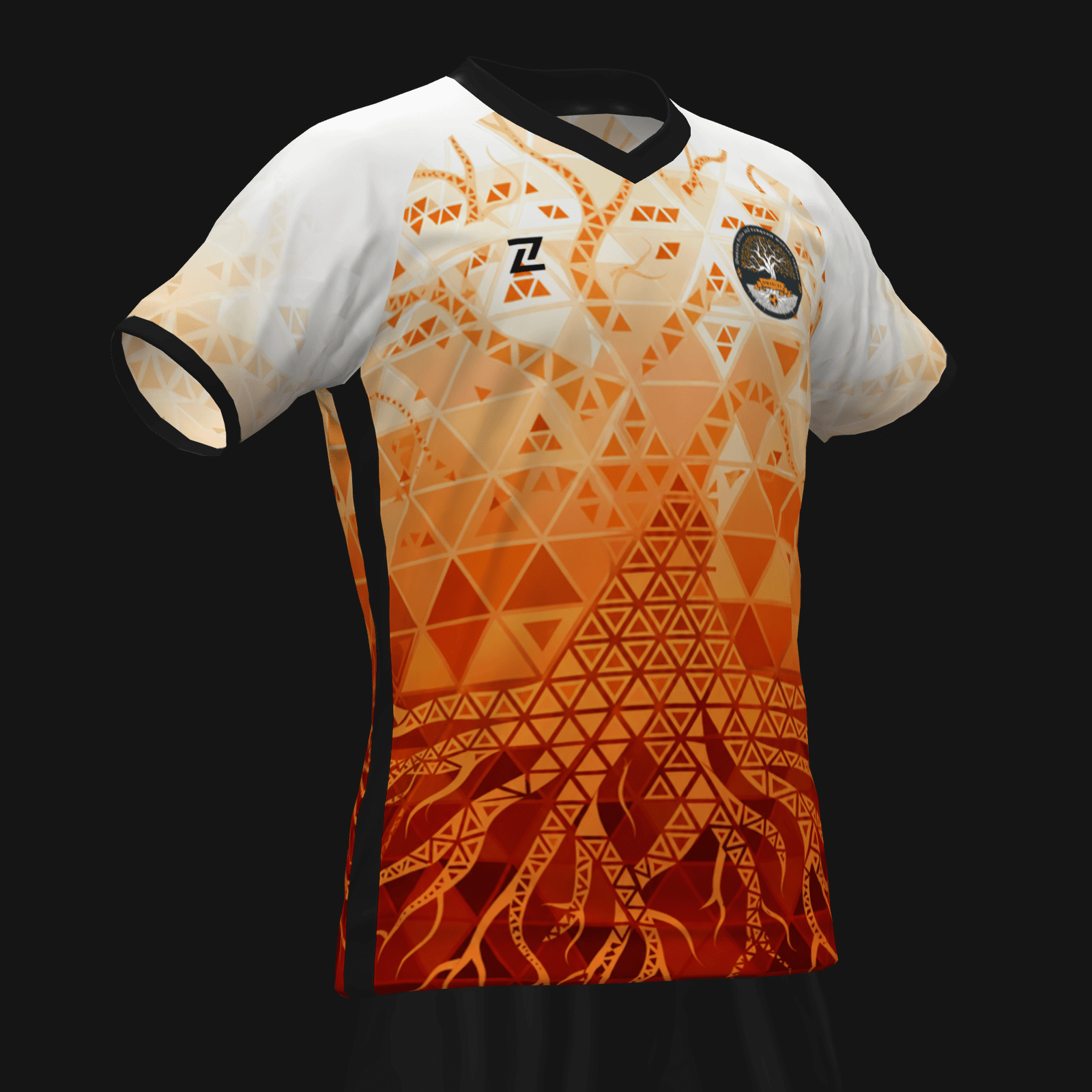 RAÍCES CFS