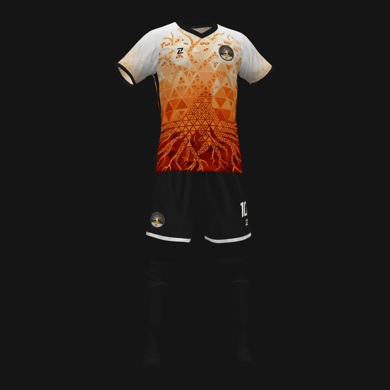 RAÍCES CFS - Imagen 2