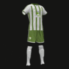CV SAN MIGUEL - Imagen 2
