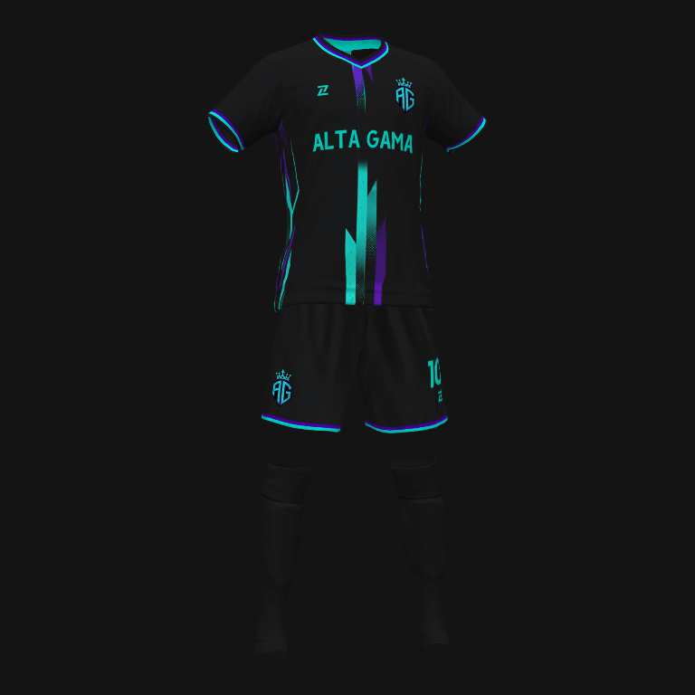 FC ALTA GAMA - Imagen 2