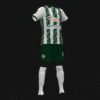 ELCHE C.H.E 2026 - Imagen 2