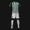 ELCHE C.H.E. - Imagen 2