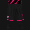 RAYO PICA PICA 2026 - Imagen 4