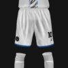 NOTTINGHAM MIEDO F.C. - Imagen 4