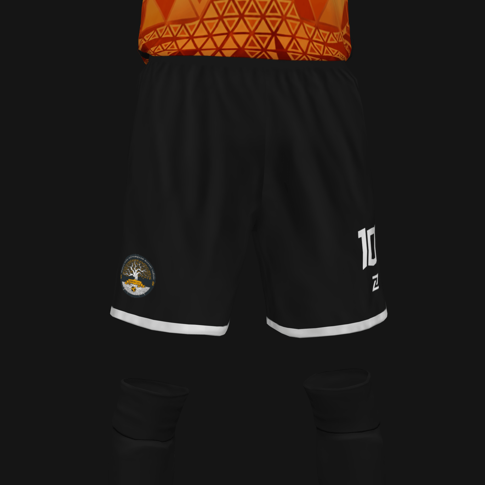 RAÍCES CFS - Imagen 4