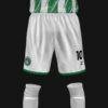 STARMAL F.C - Imagen 4