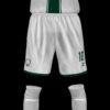 CHESES UNITED 2026 - Imagen 4