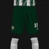 ELCHE C.H.E 2026 - Imagen 4