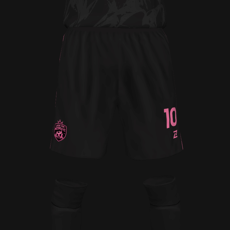 LOCOS POR METERLA FC - Imagen 4