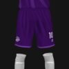 AMÉRICA LATINA 2026 - Imagen 4