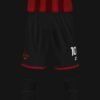 CEPORRINES FC 2026 - Imagen 4