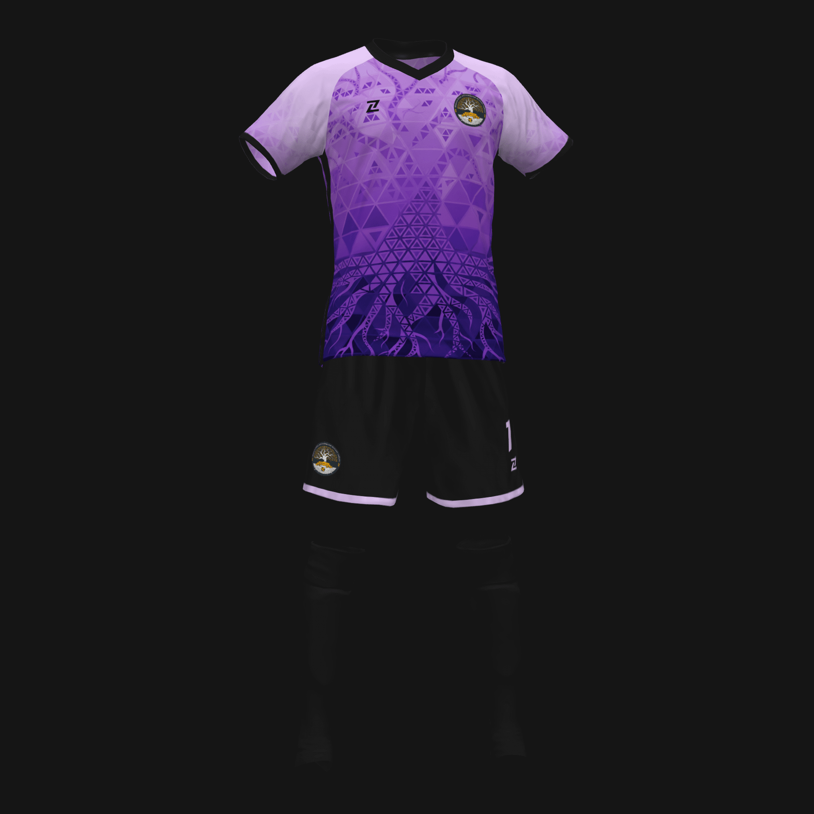 RAÍCES CFS - Imagen 5