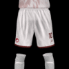FC CAMARADAS 2026 - Imagen 6