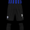 SV69 - Imagen 4