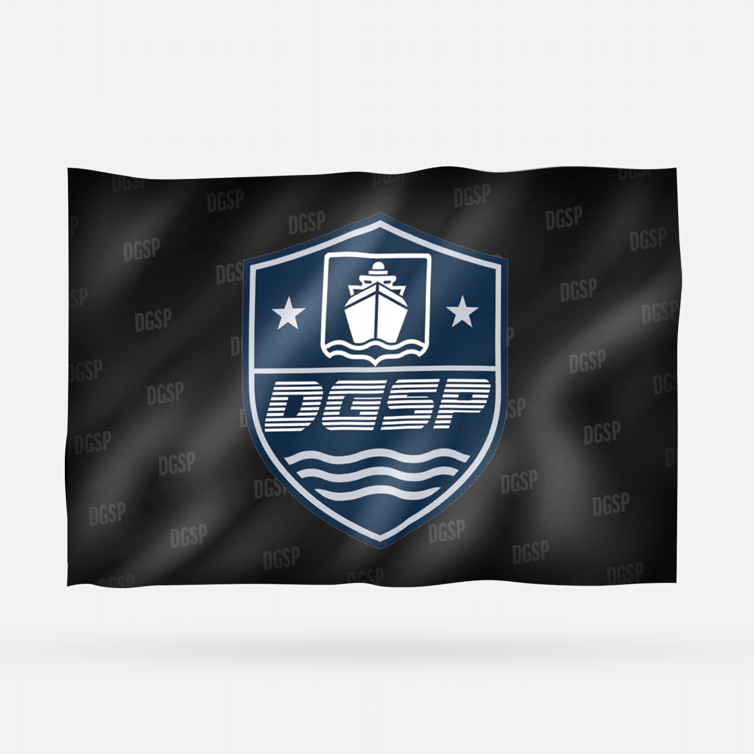 DGSP - Imagen 6