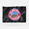 FC BAYERN DE LOS CAÍDOS BDLC - Imagen 8