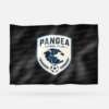 PANGEA FUTBOL CLUB SP - Imagen 8