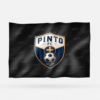 PINTO FC - Imagen 3