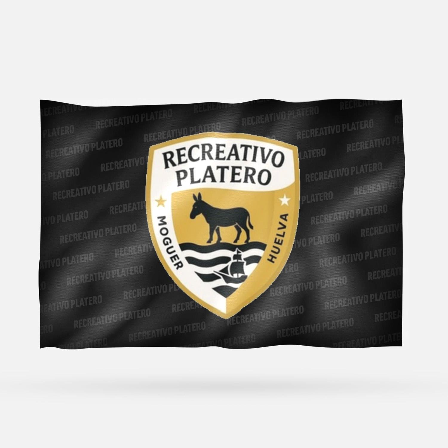 RECREATIVO PLATERO 2026 - Imagen 8