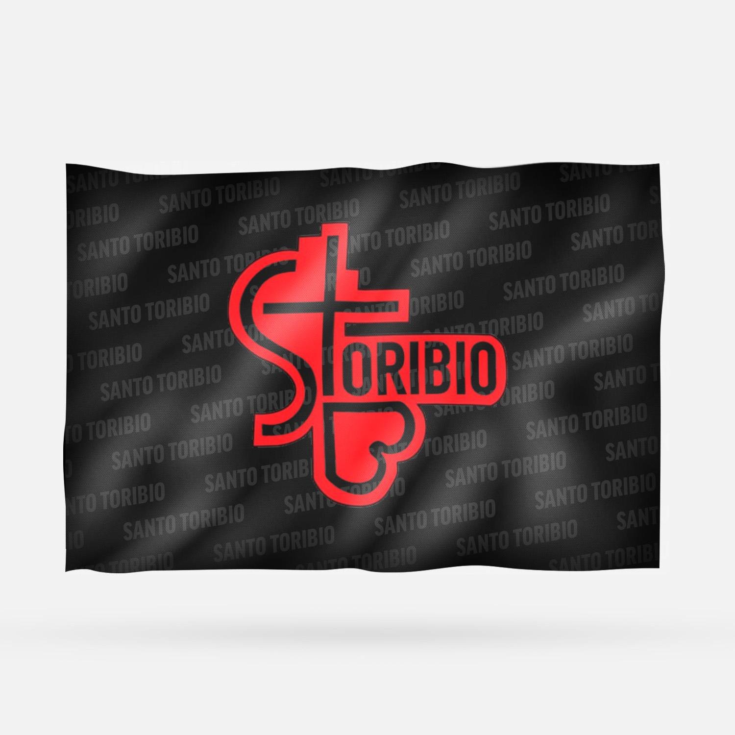 SANTO TORIBIO - Imagen 17