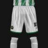 FLEMIN FC - Imagen 4