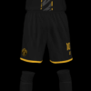 RF FC - Imagen 4