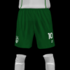 BRAVO B 2026 - Imagen 5